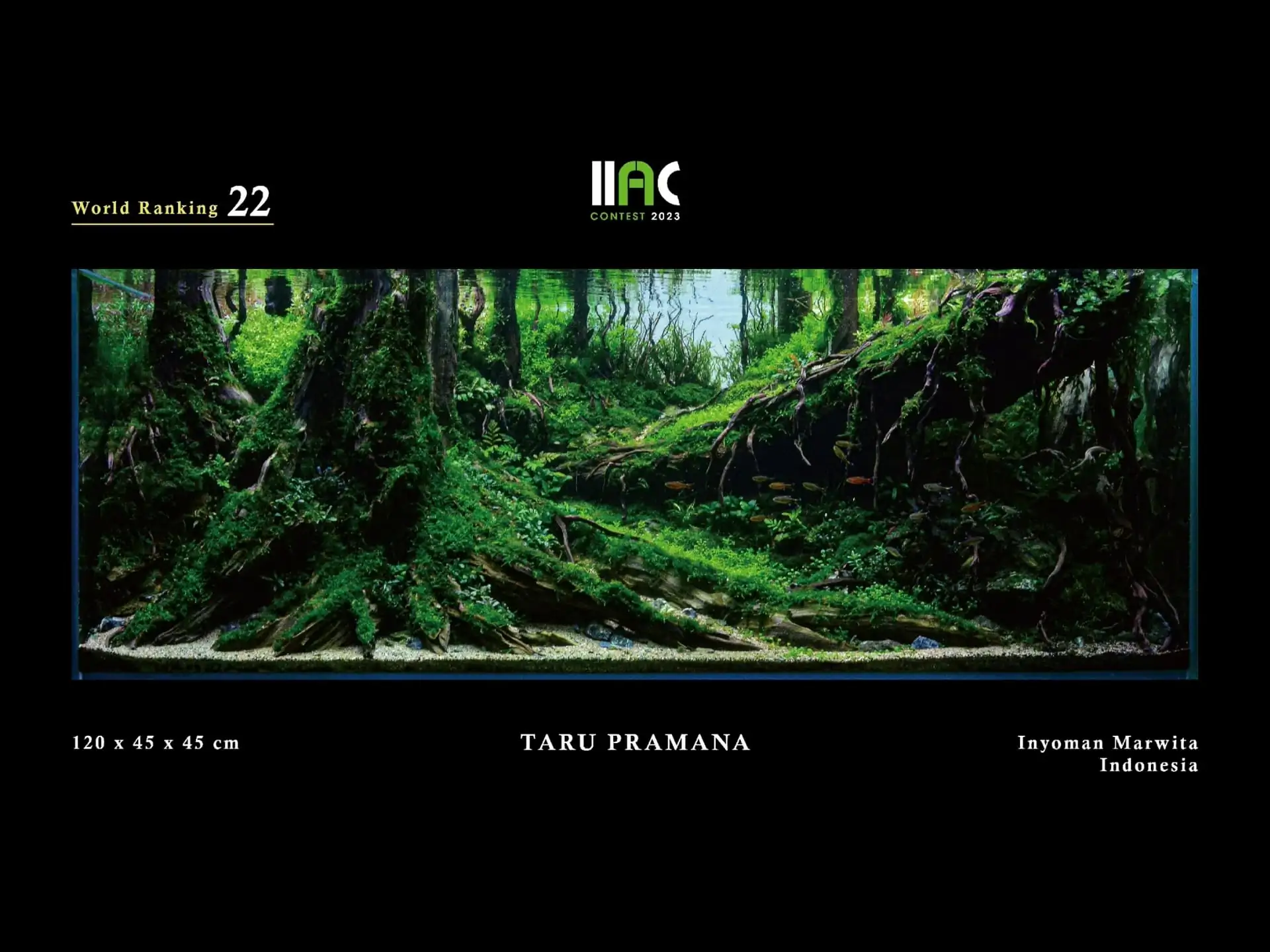 TARU PRAMANA - IIAC 2023 #22 Inyoman Marwita / Indonesia